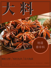 地道香辛料美食海报