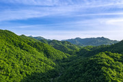 桐柏山风光图片