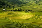 乡村梯田风景图片素材