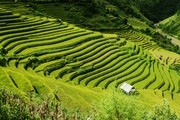 乡村梯田风景图片