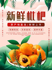 新鲜枇杷促销海报