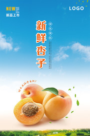 新鲜杏子采摘黄杏海报