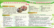 卫生健康宣传栏模板下载
