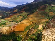 梯田风景高清图片下载