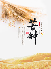 芒种节气宣传海报图片