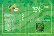 芒种二十四节气海报素材
