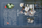 传统节气清明海报图片