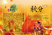 秋分节气传统养生海报素材