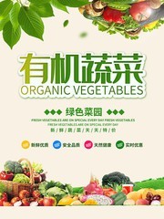 有机蔬菜宣传海报