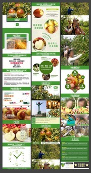 淘宝天猫冬枣详情页模板