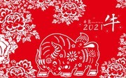 2021ţ���ֽͼƬʸ��