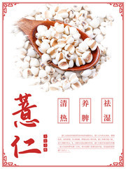 薏仁五谷杂粮海报