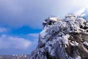 仰拍报晓峰雪景