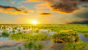 夕阳下湿地公园风景图片素材