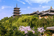 唐城青龙塔摄影图片