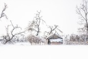 雪中房屋风景图片