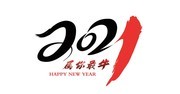 2021属你最牛字体