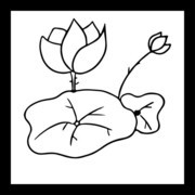 白描荷花矢量素材