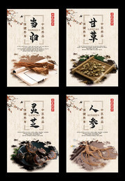 中国风中医文化挂图图片