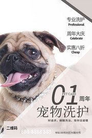 宠物店宠物洗护宣传海报