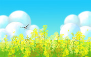 �ֻ��Ͳ˻����촺������