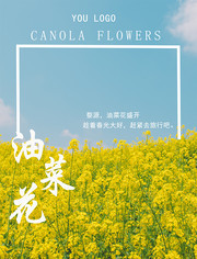 油菜花开观赏旅游季春游春天海报