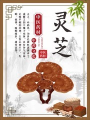 灵芝中医药材古风海报