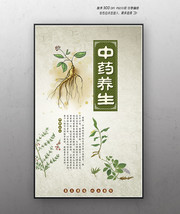 中药养生海报素材