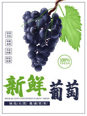 新鲜葡萄水果海报图片