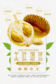 美味榴莲促销海报