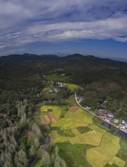 秋天田野鸟瞰风景图片素材