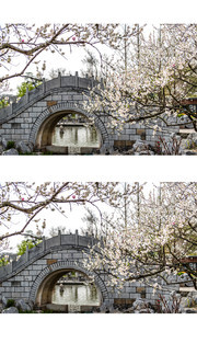 小桥流水桃花开春天风景图片