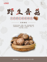 野生香菇宣传海报