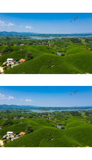 唯美山水茶园