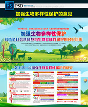 一图看懂如何加强生物多样性保护知识图片