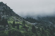 森林风景高清图片素材