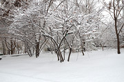 公园雪景风景图片素材