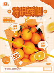 特供鲜橙水果海报图片素材