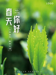 春天你好清新绿色海报下载