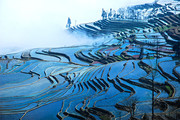 美丽梯田风景图片