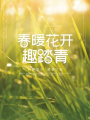 绿色小草逆光春天踏青春暖花开海报