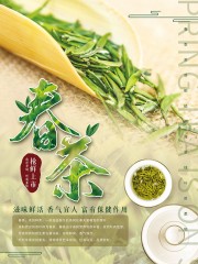 春茶茶叶促销活动海报图片