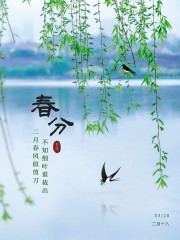 春分柳树杨柳燕子春天海报