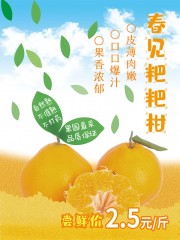 春见粑粑柑促销海报