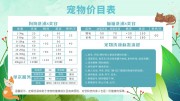小清新宠物价目表展板