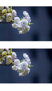 �ذ�ӣ��ͼƬ