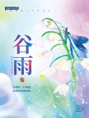 谷雨节气海报图片素材