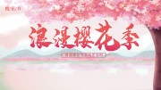 浪漫樱花季春天踏青海报图片模板