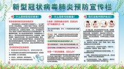 新冠防疫知识宣传栏图片素材