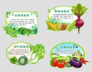 蔬菜知识标签图片素材